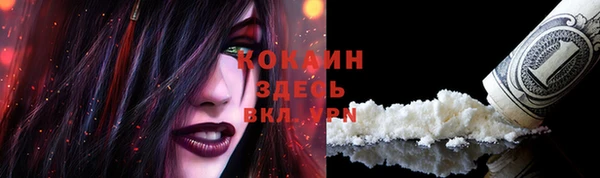 кокс Богородицк