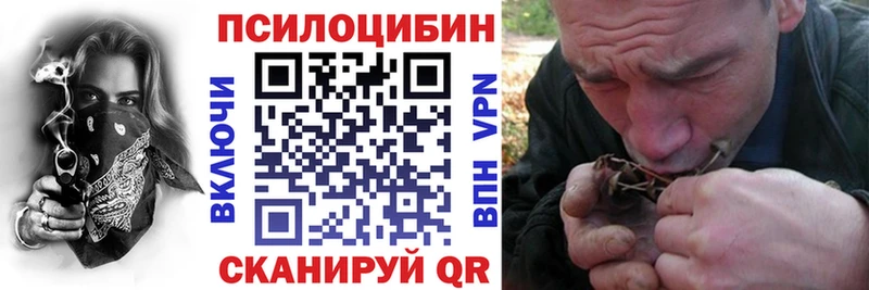 цены OMG ONION Галлюциногенные грибы мицелий Гороховец